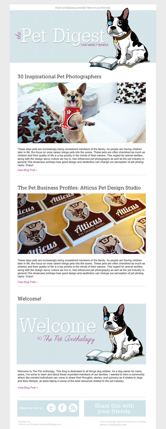 Email Newsletter Layout Best Practice
