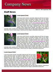 Staff Newsletter Examples